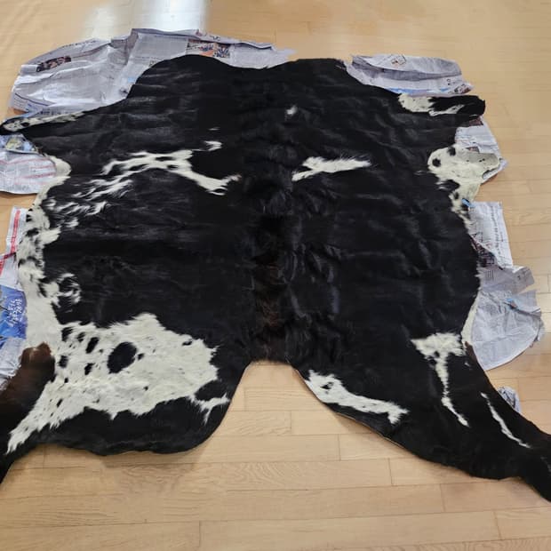 **DESART 디쟈트 소가죽 송치 카펫**