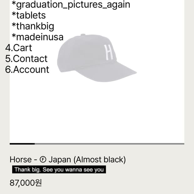 테프스토어즈 H모자 M