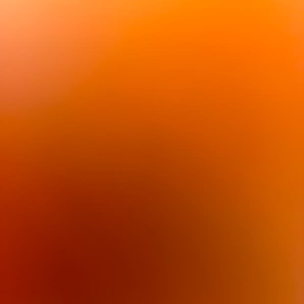 루이비통 반지갑