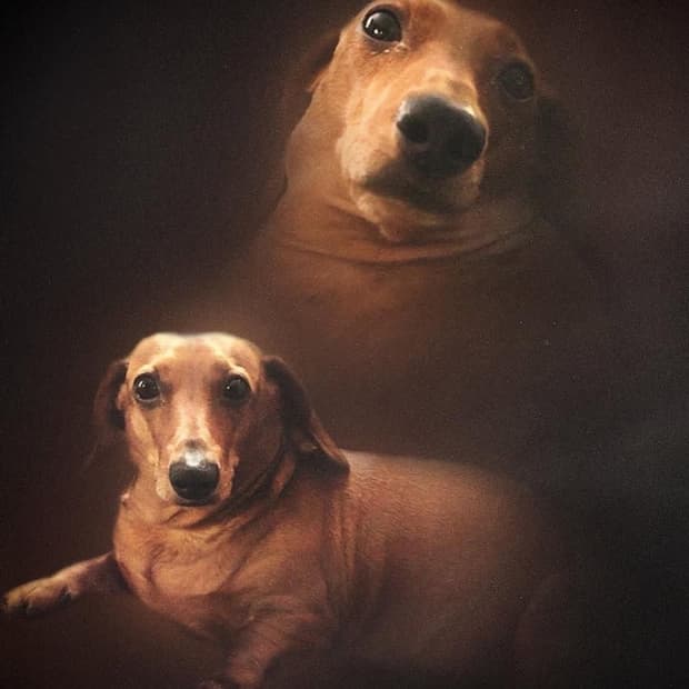 Bye( ᴗ͈ˬᴗ͈)ഒ