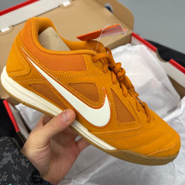 나이키 가토 (새거)