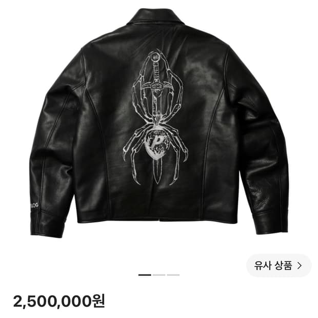 팔라스 tgf 레더 자켓