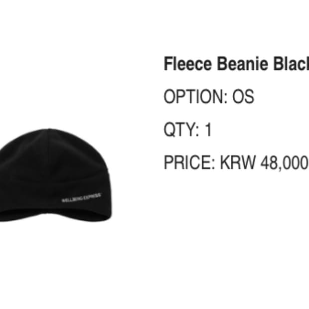 WELLBEING EXPRESS 비니