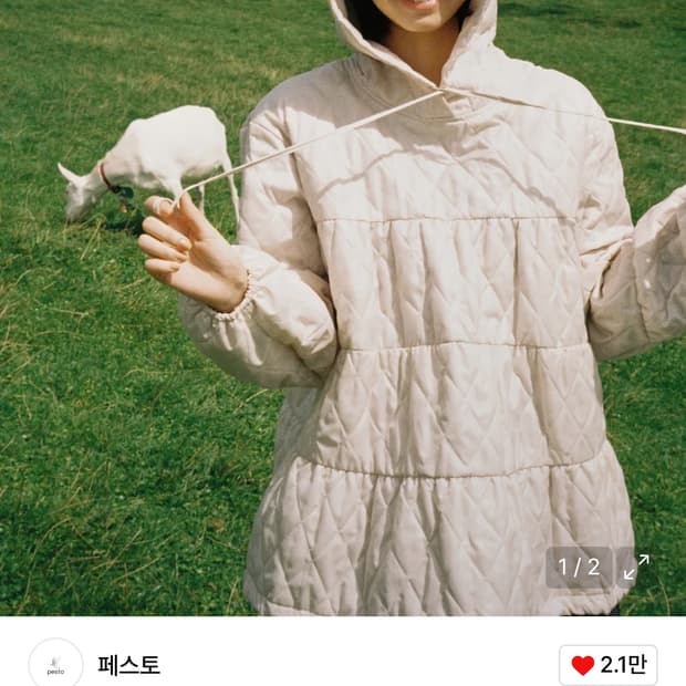 페스토 아노락 도브