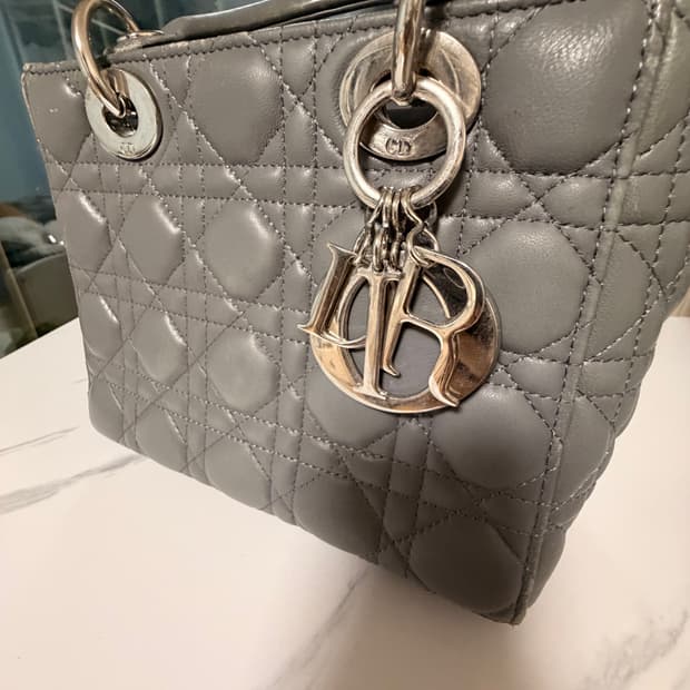디올 레이디백 스몰 그레이