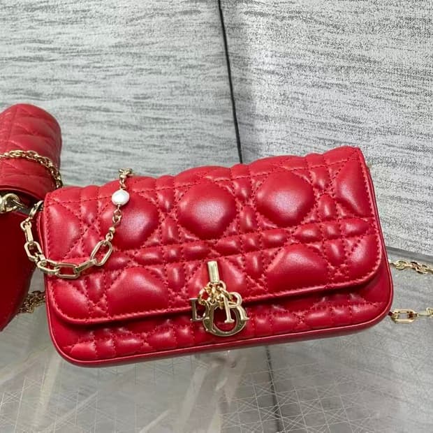 디올 크로스 백시그니처 넝쿨 체크로 클래식한 레터링 참장식
