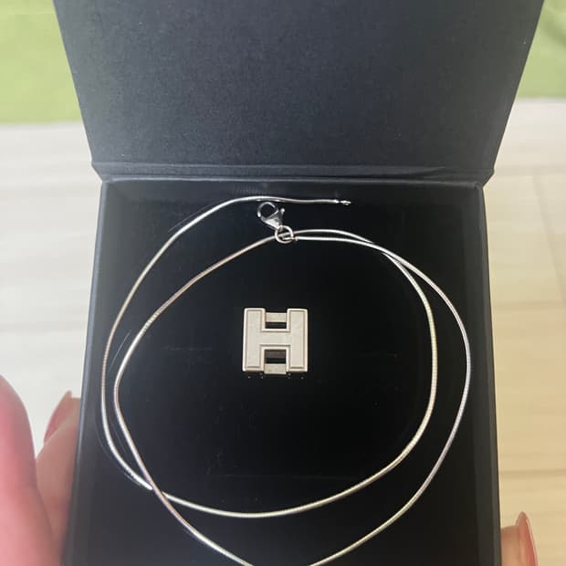 에르메스 케이지 올 실버