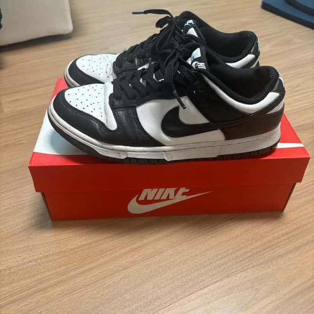 나이키 덩크로우 범고래 260