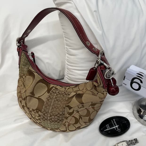Coach Red Snake Bag