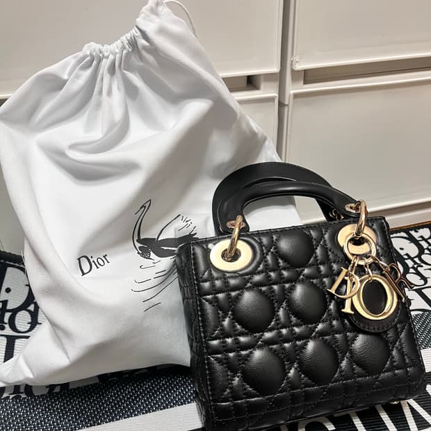 디올 레이디백 미니 사이즈 금장 