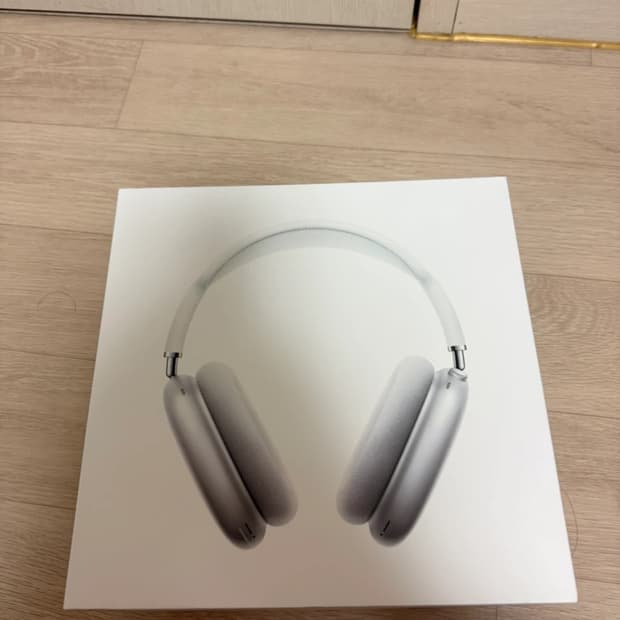 애플 에어팟 맥스 실버