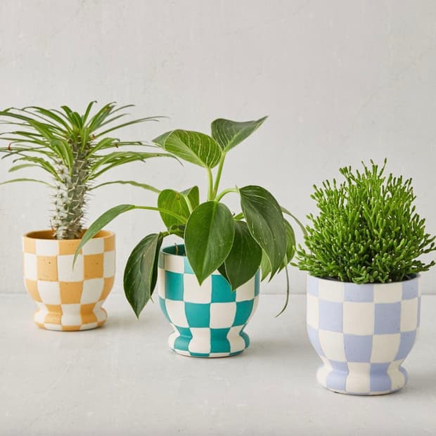 (새상품) 체크 화분 토기