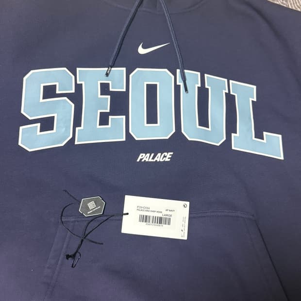 급처 팔라스 나이키 압구정한정 후드 L