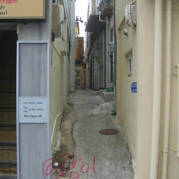 작례이쁌🥺)) 삼성 케녹스 알파5 a5 