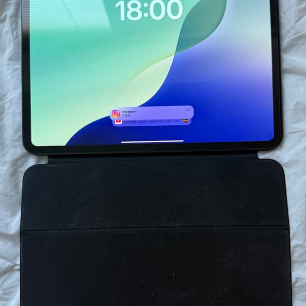 아이패드 프로 m4 1tb wifi 11인치