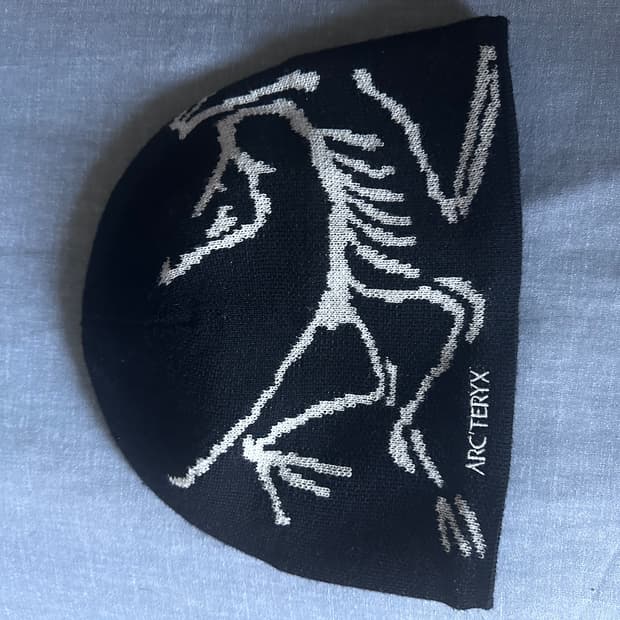 아크테릭스 비니