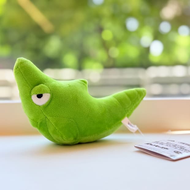일본 반프레스토 포켓몬 컬러 셀렉션 그린 단데기 봉제인형