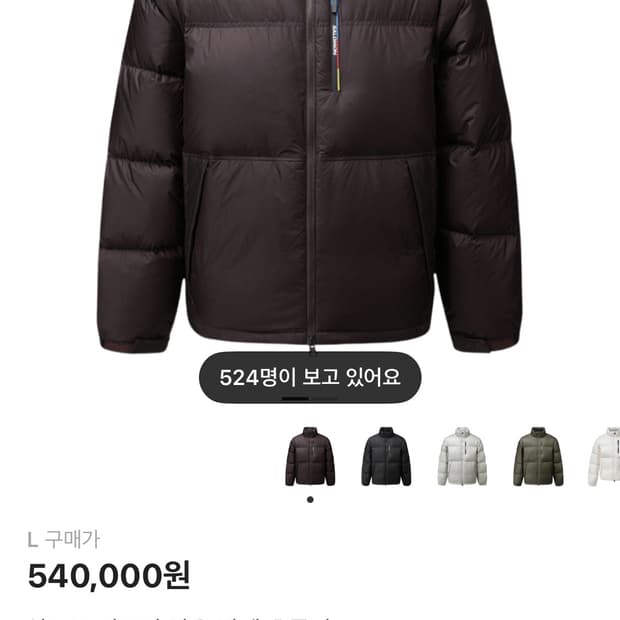 살로몬 컨투어 다운 자켓 초콜릿