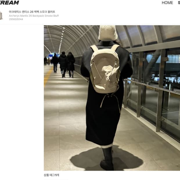 아크테릭스 맨티스 26 백팩 스모크 블러프