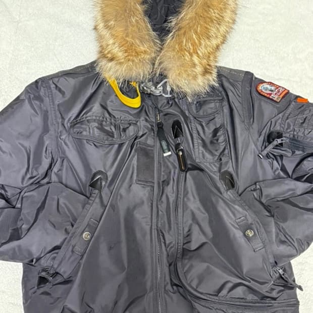 파라점퍼스 고비