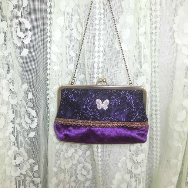 Anna Sui Butterfly Frame Chain Clutch 🦋