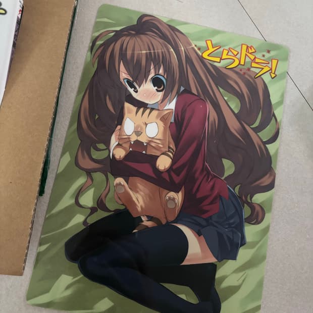 토라도라! 아이사카 타이가 플라스틱 포스터 책받침 고전 미소녀