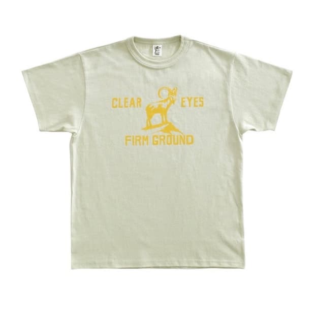 컬렉트 피시스(light olive)반팔 M사이즈
