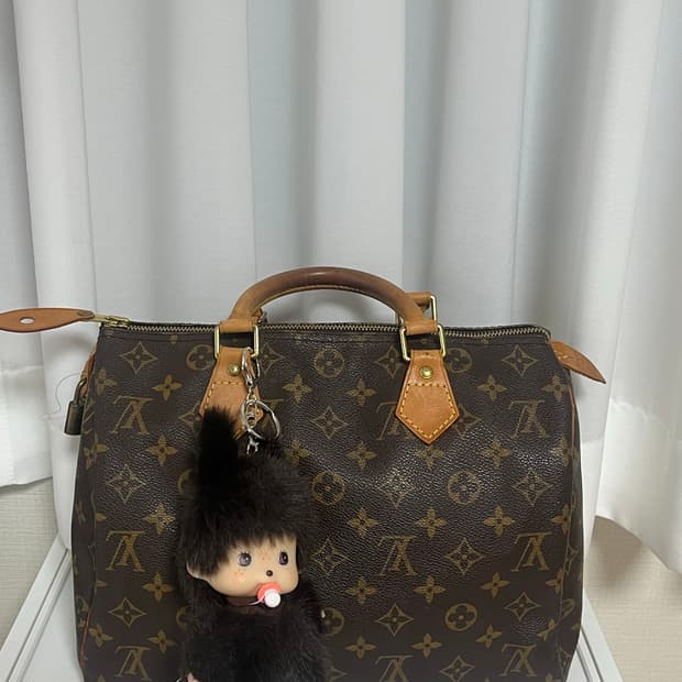 루이비통 스피디 30