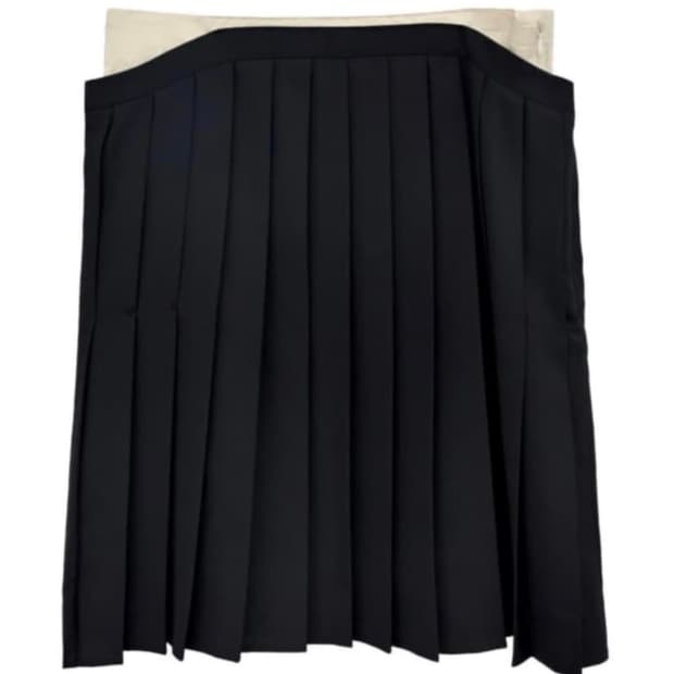 Eonts 애옹쓰 플리츠 스커트