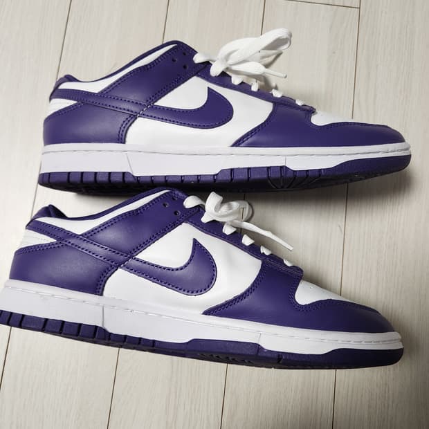 나이키 덩크 로우 레트로 DD1391-104 사이즈275

농구화/남성용