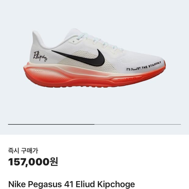 나이키 페가수스 엘리우드 킵초게 250