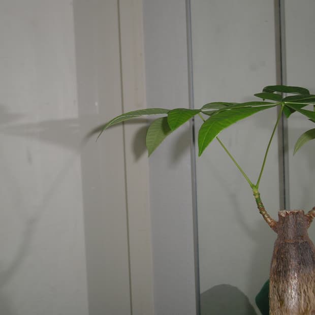 개인결제페이지