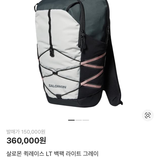 살로몬 퀵레이스 LT 백팩 라이트 그레이