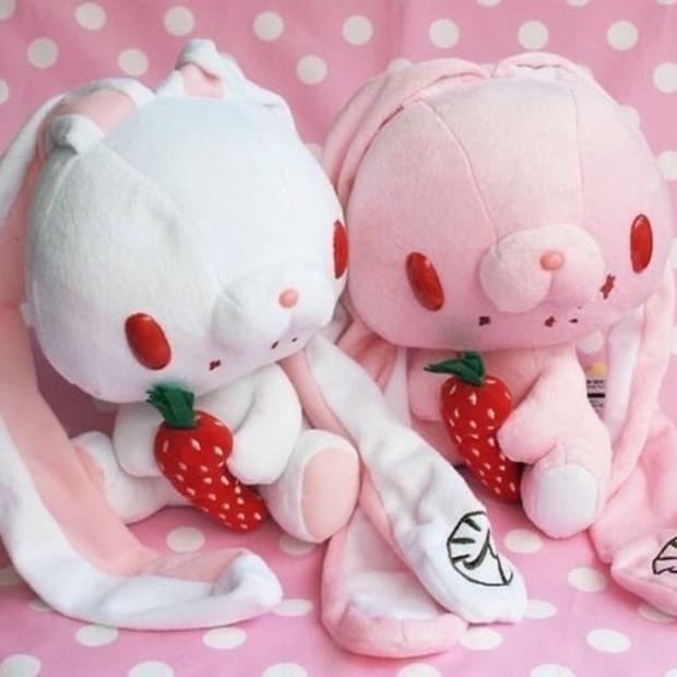 당근먹는 범용토끼 구합니다!