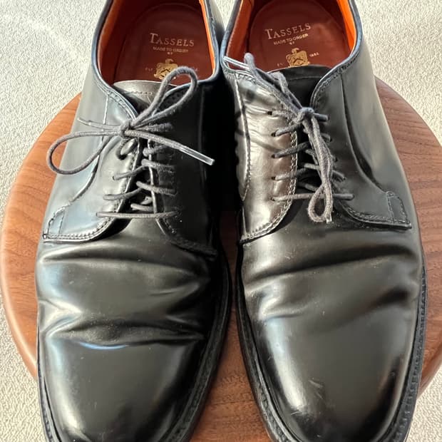 ALDEN  PLAIN TOE CORDOVAN 9901 1/2 9D