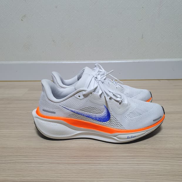 나이키 페가수스 41 블루프린트 250