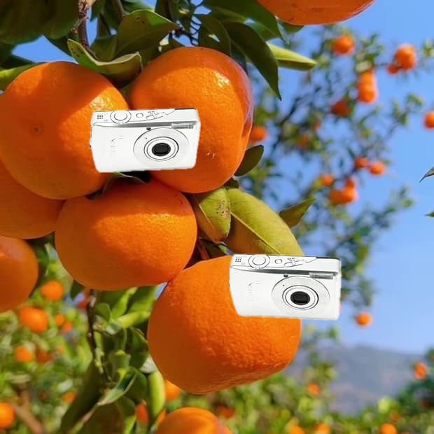 필름색감&강추!) Canon IXUS 65 디카 카메라