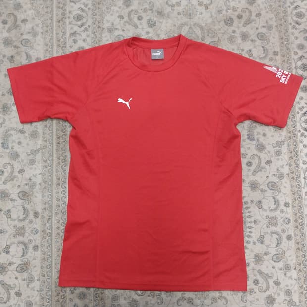 PUMA 메쉬 기능성 2023 SKY RUN 반팔티 M