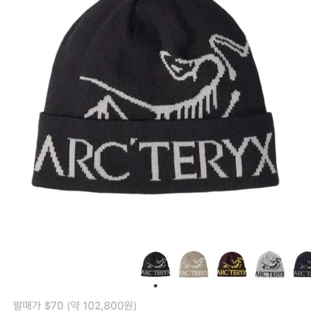 아크테릭스 버드 워드 토크 블랙 