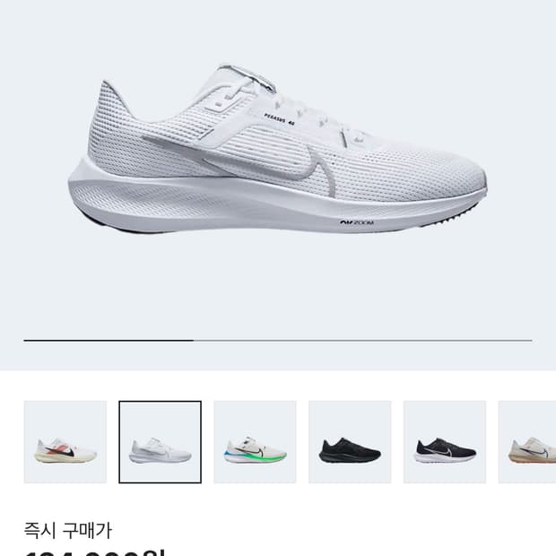 나이키 에어줌 페가수스 40 275