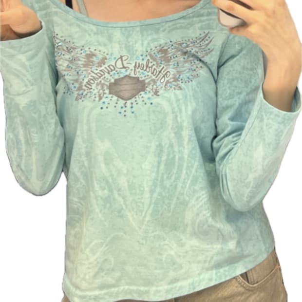 할리데이비슨 긴팔티