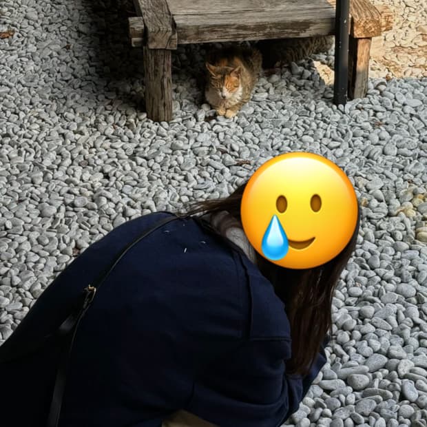 메종 마르지엘라 가디건 xl