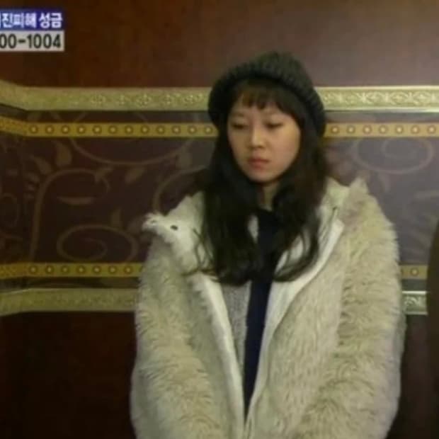 씨바이끌로에 공효진 퍼아우터