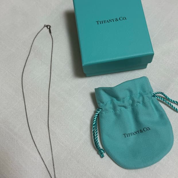 티파니앤코 목걸이 리턴투 민트 더블하트 목걸이