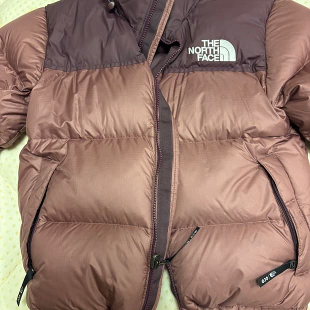 노스페이스 1996 눕시 브라운