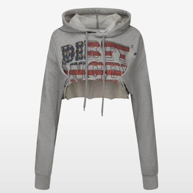 Sculptor 스컬프터 글리터 플래그 크롭 후디 멜란지 그레이 M