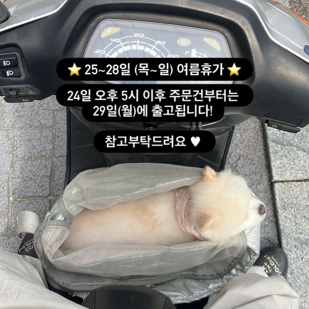 ⭐️⭐️⭐️⭐️⭐️