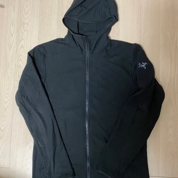 [M] 아크테릭스 델타 LT 후디 블랙 (구형)