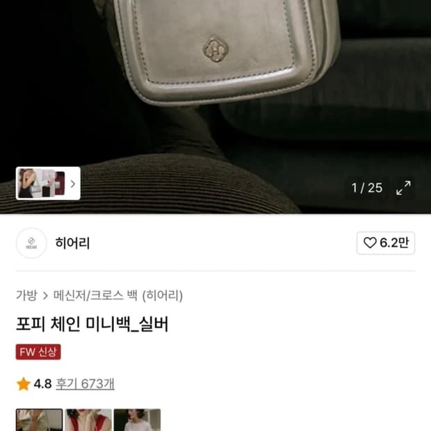 히어리 포피 체인 미니백 실버