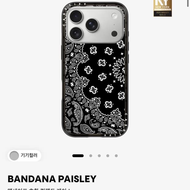 케이스티파이 BANDANA PAISLEY 케이스 17 프로